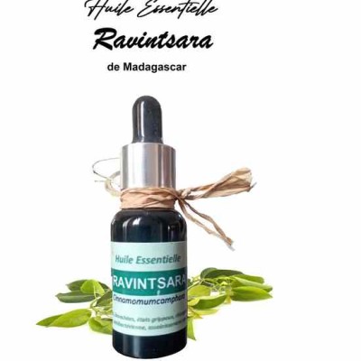 Essential oil of Ravintsara (Cinnamomum camphora)
